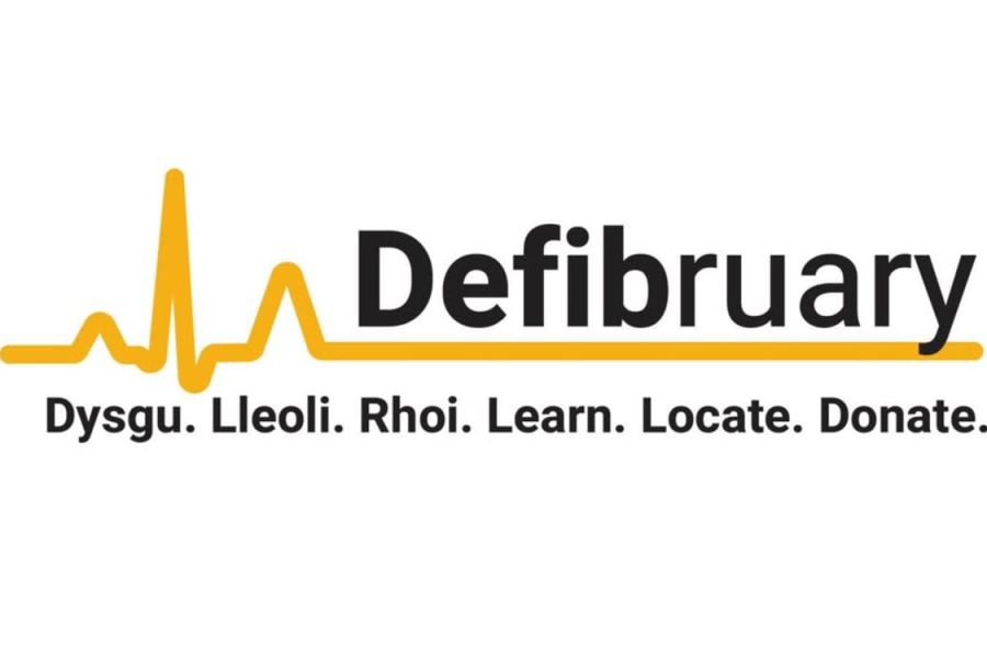Defibruary logo
