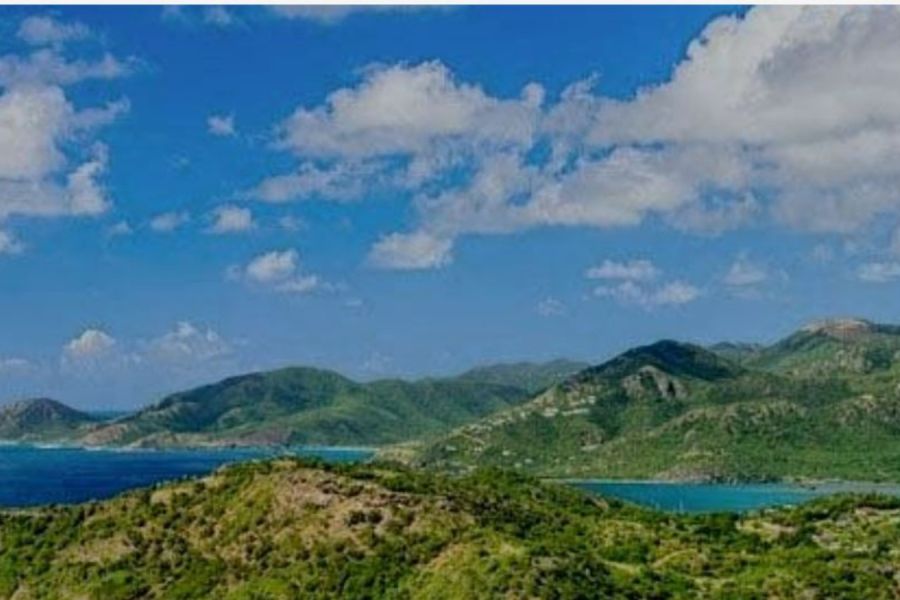 Antigua Banner 1