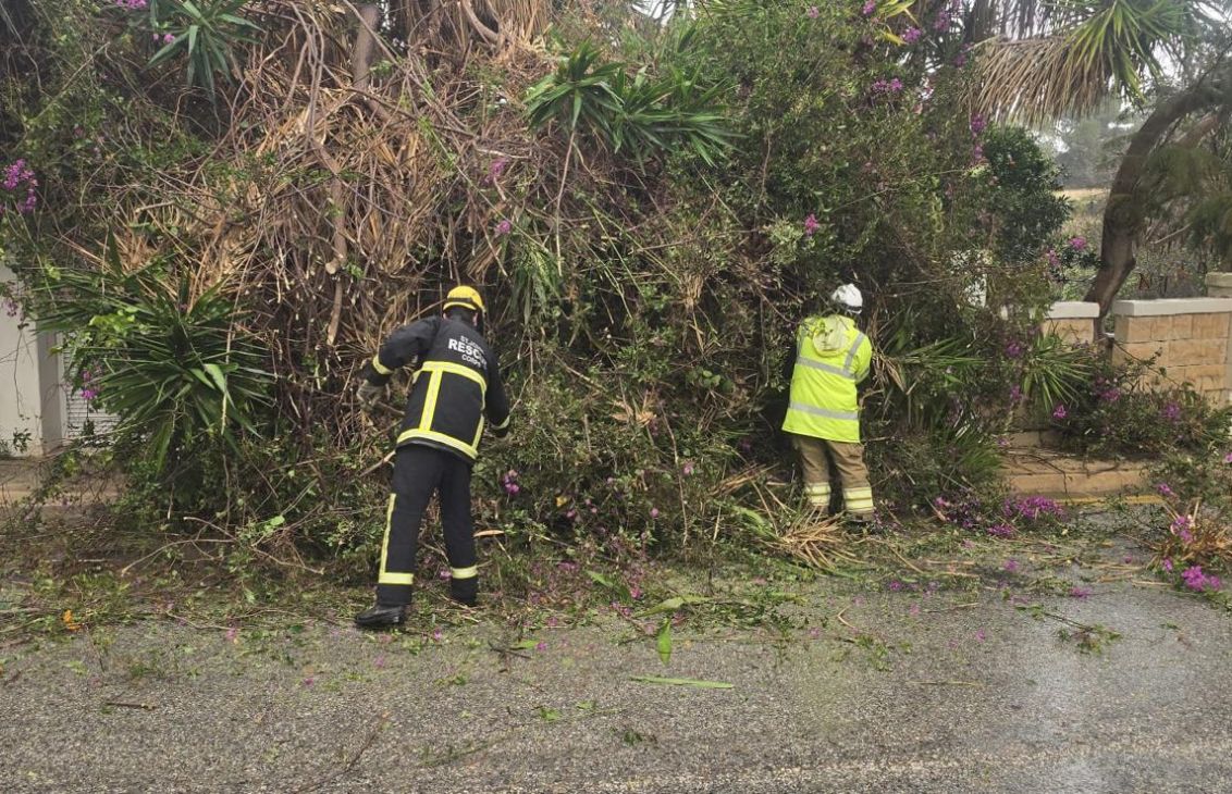 Whatsapp Image 2026 01 20 At 16 08 20 1