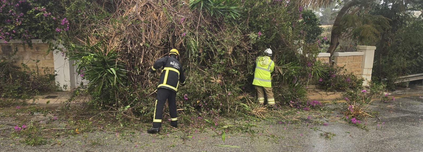 Whatsapp Image 2026 01 20 At 16 08 20 1