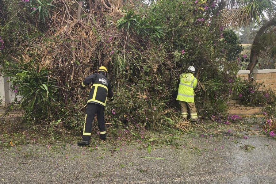 Whatsapp Image 2026 01 20 At 16 08 20 1