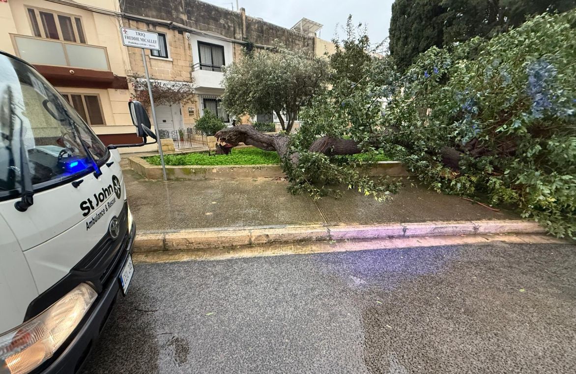 Whatsapp Image 2026 01 20 At 16 08 21 3