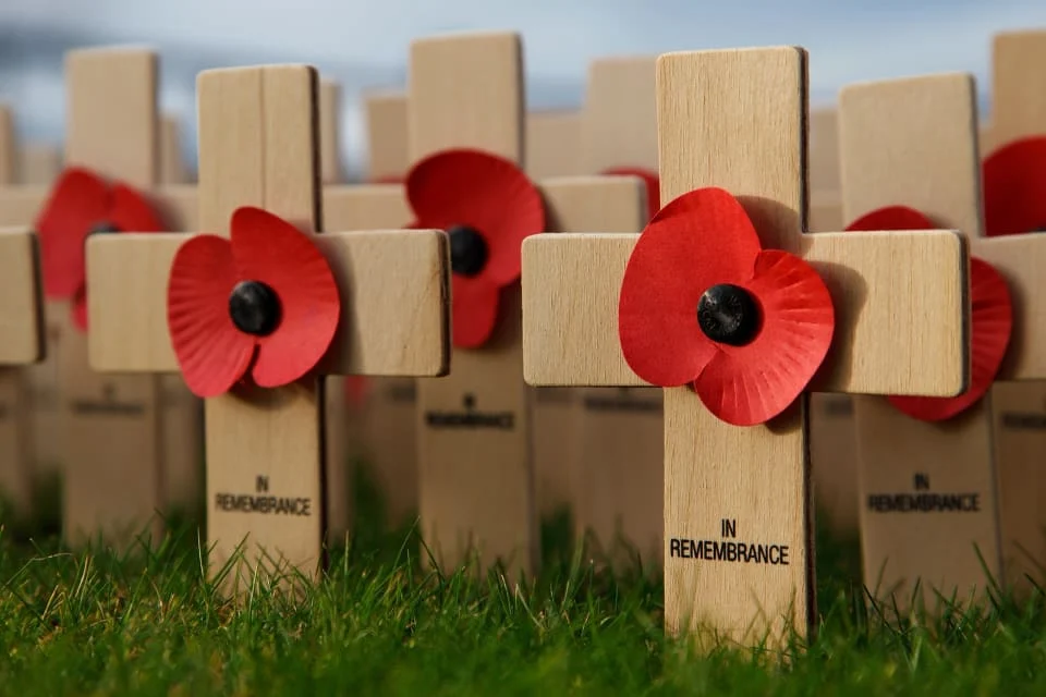 Poppies