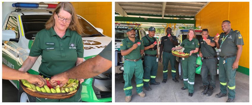 Australian Volunteer Programme